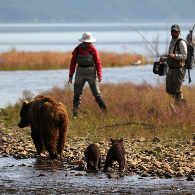 Brooks Lodge Bristol Adventures
